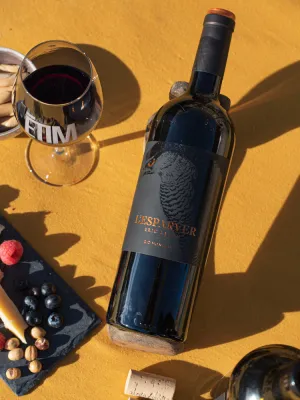 Vi negre Esparver Èric Lahon negre 2022 Falset Marçà